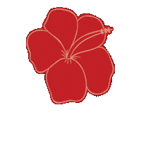 ROJAMAICA chile salsa jamaica mega Sticker