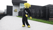 Wu_Shock dance wu wsu wushock GIF