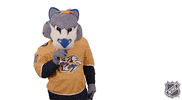 Ice Hockey GIF by NHL