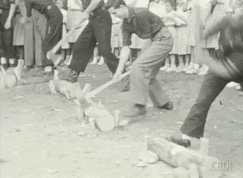 Chopping Logs GIF by CRDI. Ajuntament de Girona