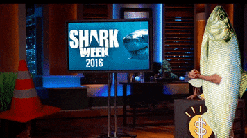 Shark Week 2016 GIF by Leroy Patterson