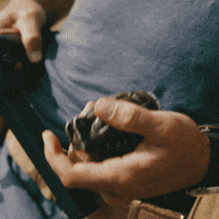 Ministryofungentlemanlywarfare GIF by Lionsgate