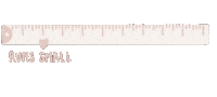 Florida Sizing Sticker by Aria Rose