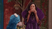 Sesame Street Television GIF by Saturday Night Live