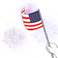 Celebrate United States Sticker by BoDoggos