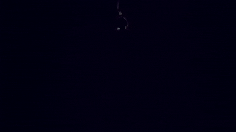 petapixel giphyupload GIF