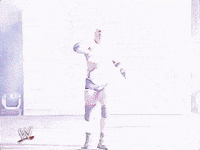 survivor series goldberg GIF by WWE