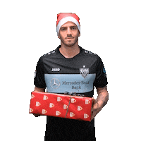 Fabian Bredlow Christmas Sticker by VfB Stuttgart
