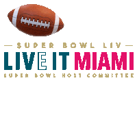 MIASBLIV miami super bowl superbowl sbliv Sticker