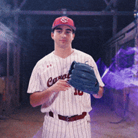 Home Run Celebration GIF by Gamecock Athletics