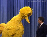 GIF by The Tonight Show Starring Jimmy Fallon