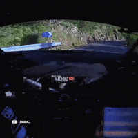 Driving Islas Canarias GIF by FIA World Rally Championship