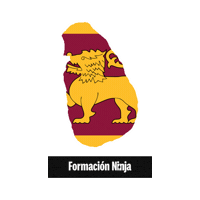 Sri Lanka Flag Sticker by Formación Ninja