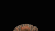 sqalarecruitment thumbs up top good job enthousiast GIF