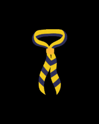 Barcelona Ramonllull GIF by Escoltes Catalans