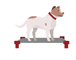 Dexter Dog Training Sticker by Red Beard