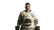 Hockeynorge Sticker by Stavanger Oilers
