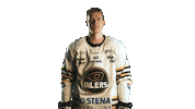 Hockeynorge Sticker by Stavanger Oilers