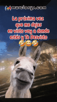 Amigos Saludos GIF by Murcianys LLC