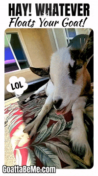 Whatever You Say Pet GIF by Goatta Be Me Goats! Adventures of Java, Toffee, Pumpkin and Cookie!