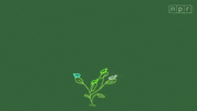 bird frog GIF by Marcie LaCerte
