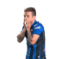 AtalantaBC omg gomez atalanta Sticker