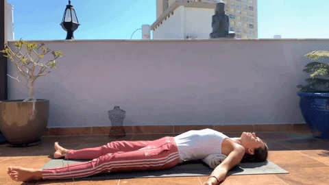 svitlanayevsieieva giphyupload GIF