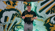 Baseball Bison GIF by NDSU Athletics
