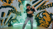Baseball Bison GIF by NDSU Athletics