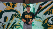 Baseball Bison GIF by NDSU Athletics