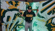Baseball Bison GIF by NDSU Athletics