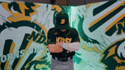 Baseball Bison GIF by NDSU Athletics