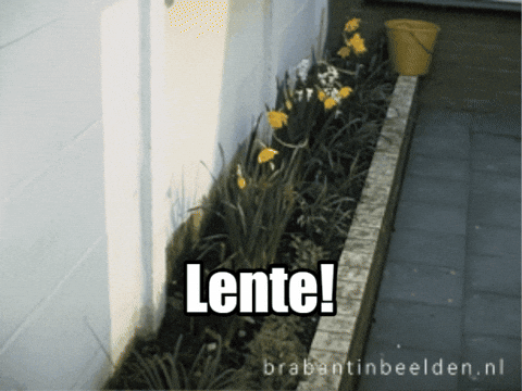 Flowers Spring GIF by BrabantinBeelden