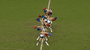 Stade Des Alpes Girls GIF by FCG Rugby