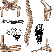 physiocoreoficialbrasil fisioterapia fisio osteopatia osteo Sticker