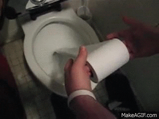 toilet scrubbing GIF