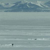 Penguin Mountain GIF