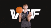 vefriga  GIF