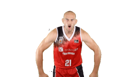 Vamos Liga Endesa Sticker by ACB