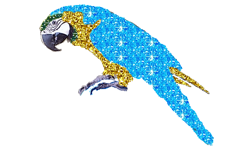 bird STICKER