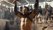 Lets Go Fight GIF by Spartacus