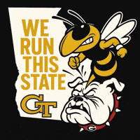 Georgia Tech Football GIF