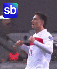 Juventus Yes GIF by Sporbulteni