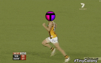tinycolony gaming solana tinycolony GIF