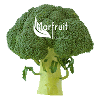 MARFRUIT broccoli verdura brocoli hortaliza Sticker