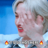Fire Stray Kids GIF
