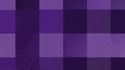 acui_gallery union day of giving student union acui GIF