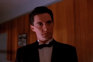 season 1 GIF by Twin Peaks on Showtime