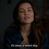 Streaming Cbs GIF by Paramount+