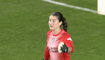 Clap GIF by National Women's Soccer League